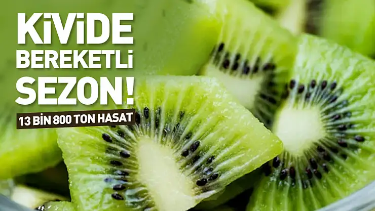 Kivide bereketli sezon!