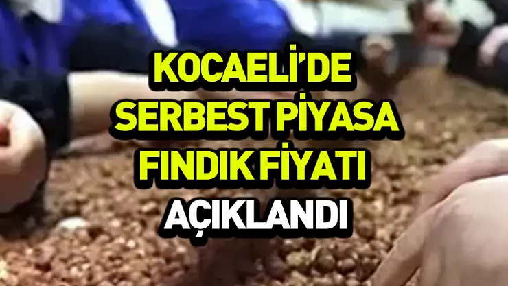Kocaeli'de 16 Kasım fındık fiyatı belli oldu: Piyasa güne nasıl başladı?