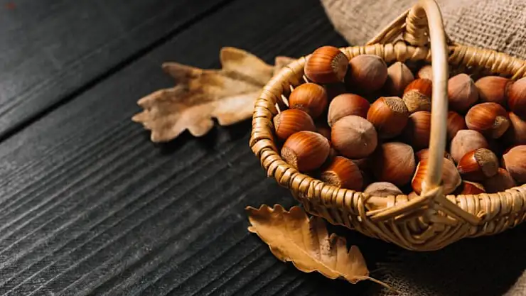 Kocaeli'de 22 Kasım 2025 Fındık Fiyatları: İlçelerde Güncel Durum