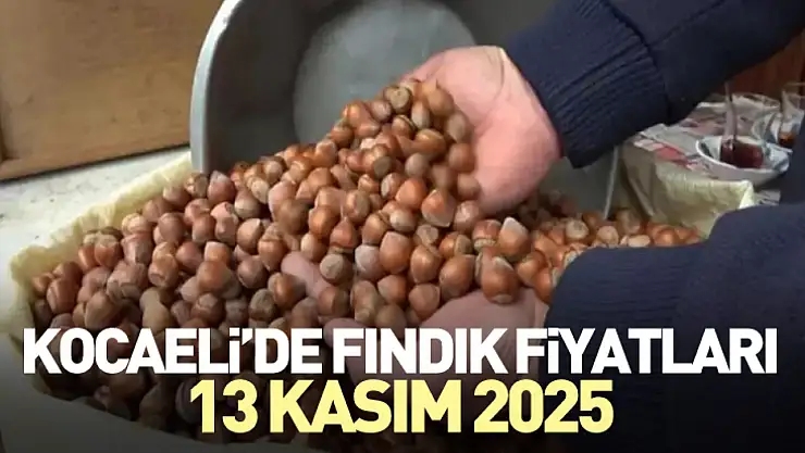 Kocaeli'de Fındık Fiyatları 13 Kasım 2025