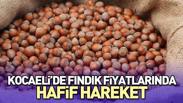 Kocaeli'de fındık fiyatlarında hafif hareket