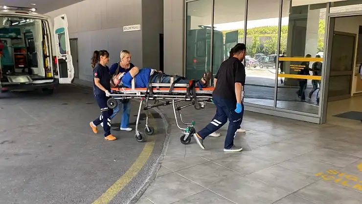 Kocaeli'de otomobil ağaca çarptı