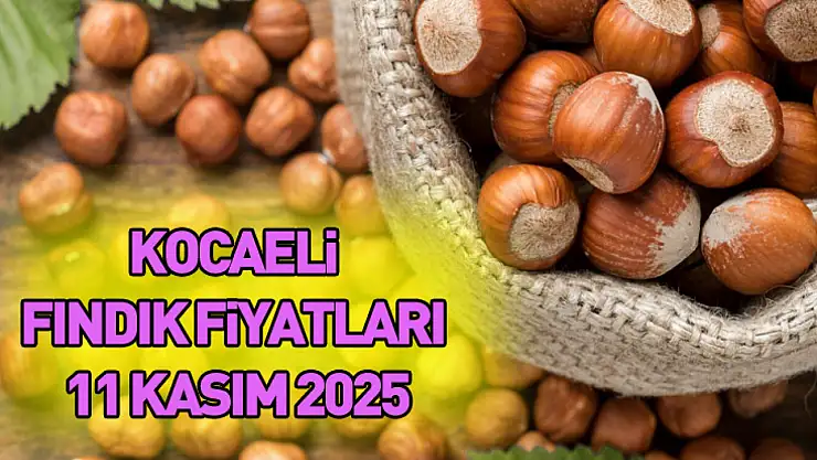 Kocaeli Fındık Fiyatları 11 Kasım 2025