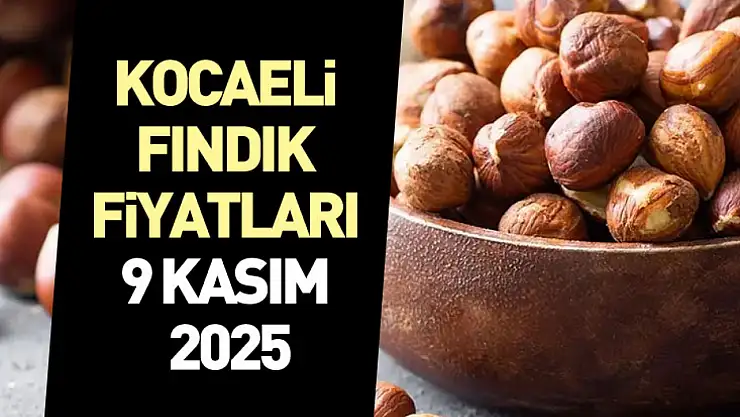 Kocaeli Fındık Fiyatları 9 Kasım 2025: Sanayi Talebi Artıyor