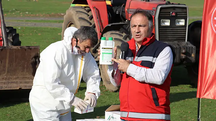 Kokarcaya karşı Terme alarmda