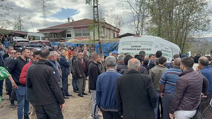 Komşusuna ağaç kesiminde yardım ederken hayatını kaybetti