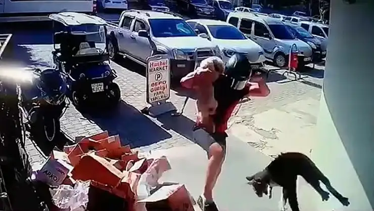 Köpeğini savundu, kediyi tekmeledi