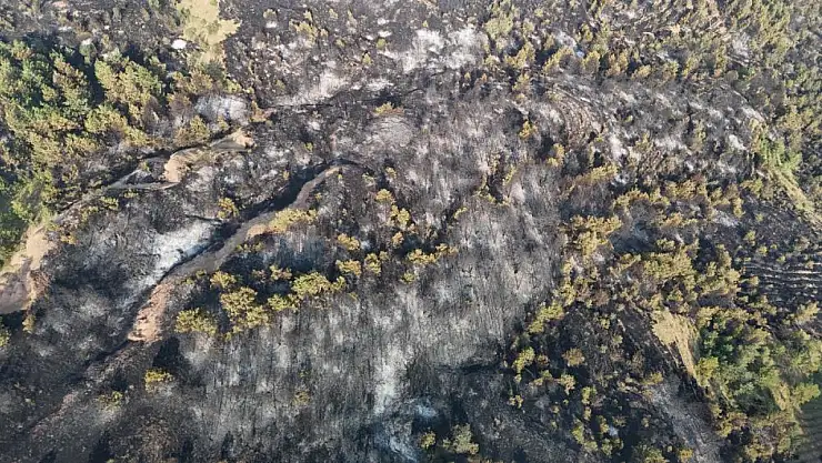 Korkutan yangında zarar gören alanlar dronla görüntülendi