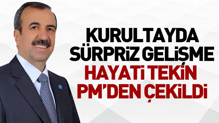 Kurultayda Sürpriz Gelişme Hayati Tekin PM'den Çekildi