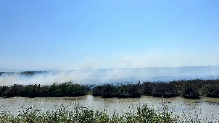 Kuş Cenneti'nde korkutan yangın
