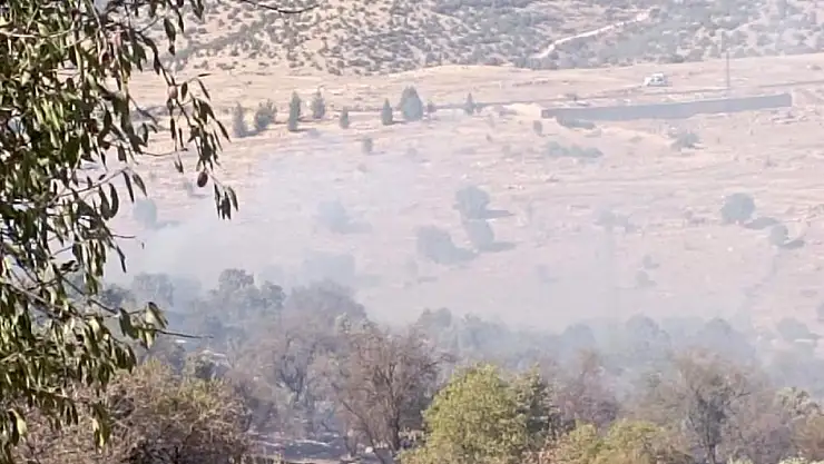 Mardin'de çıkan orman yangını söndürüldü