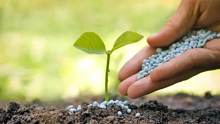 Mecliste sahte gübre iddiası