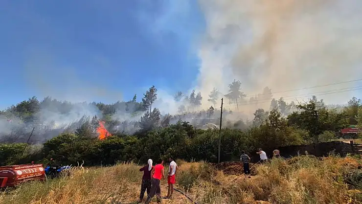 Menteşe Fadıl mahallesinde orman yangını
