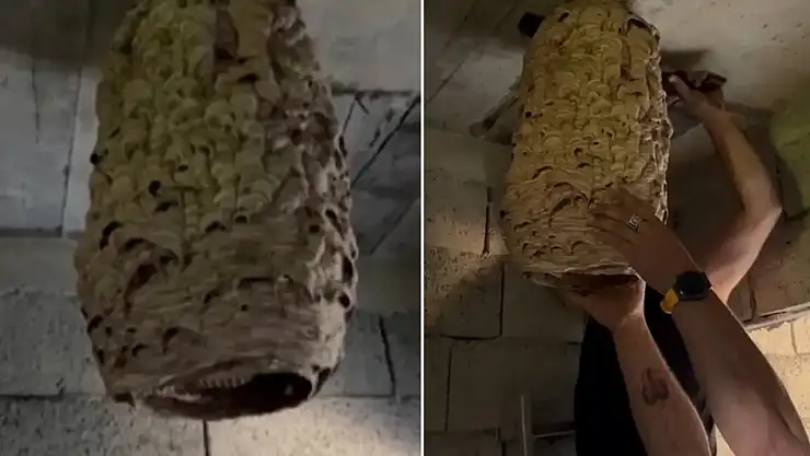 Metruk eve giren mahalleli gözlerine inanamadı!