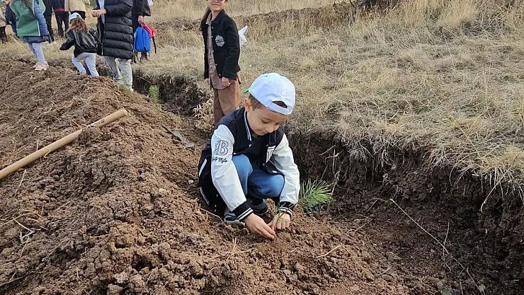 Milli Ağaçlandırma Günü: Karadeniz'in 7 İlinde Fidan Mesaisi