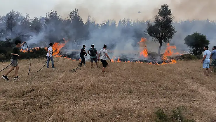 Muğla Büyükşehir'den anız yangını uyarısı: Toprak ve ormanlar risk altında