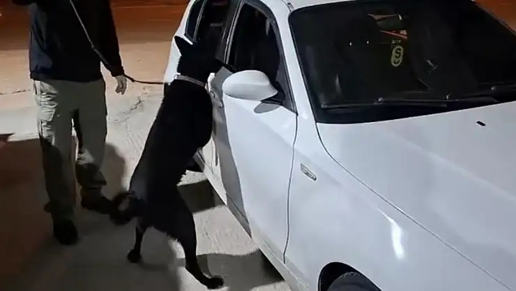Narkotik Köpeği Uyuşturucunun Zulalandığı Yeri Buldu