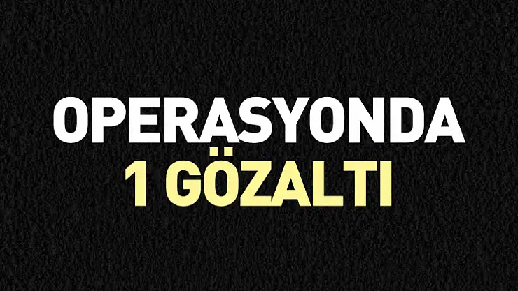 Operasyonda 1 gözaltı
