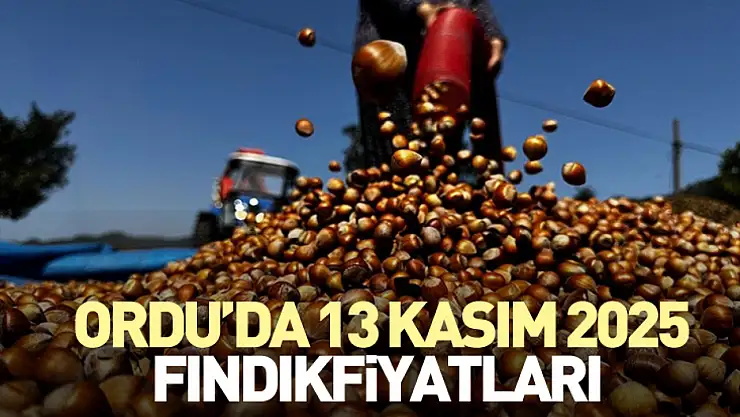 Ordu'da 13 Kasım 2025 Fındık Fiyatları