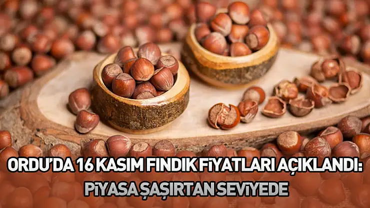 Ordu'da 16 Kasım fındık fiyatları açıklandı: Piyasa şaşırtan seviyede