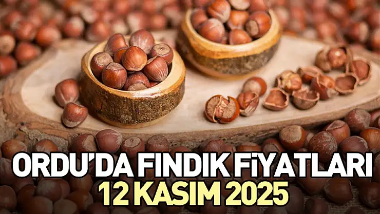 Ordu'da Fındık Fiyatları 12 Kasım 2025