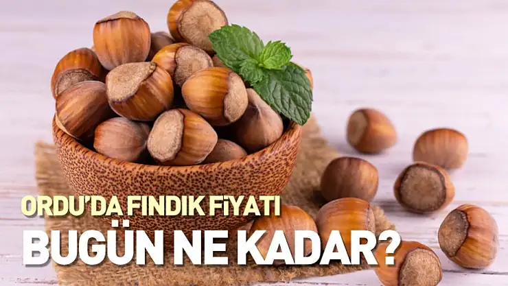 Ordu'da Fındık Fiyatları 14 Kasım 2025
