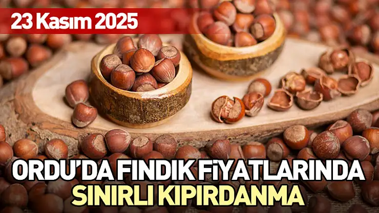 Ordu'da fındık fiyatlarında sınırlı kıpırdanma
