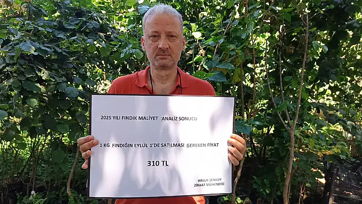 Ordulu Ziraat Mühendisinden fındığın maliyeti hesabı