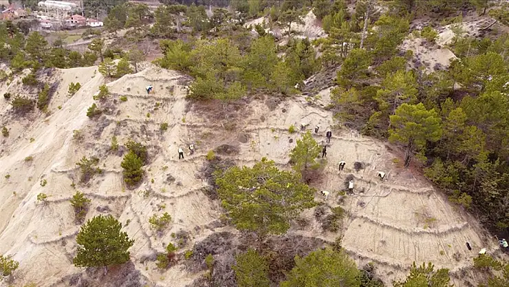 Orman İşçileri, Yangından Sonra Erozyonla Da Mücadele Ediyor