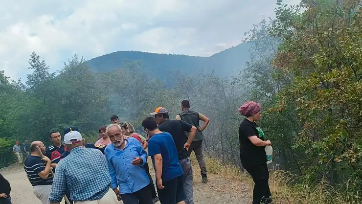 Orman yangını kontrol altına alındı