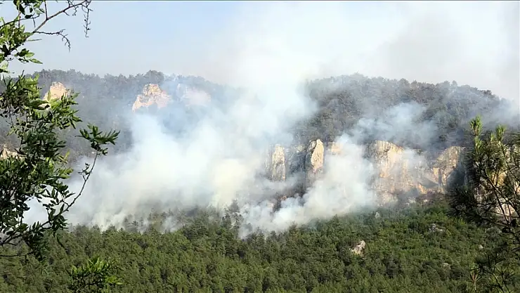 Orman yangınlarına müdahaleler sürüyor
