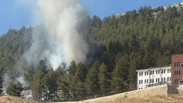 Ormanlık alan yandı