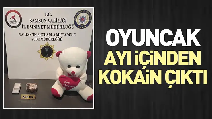 Oyuncak Ayı İçinden Kokain Çıktı
