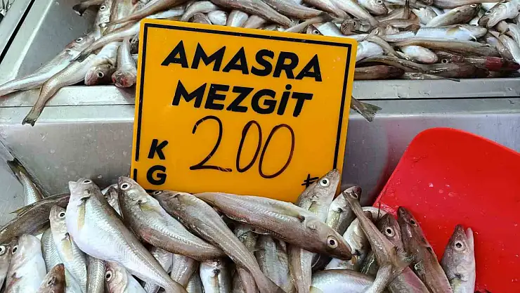 Palamut kestane karası'nı bekliyor