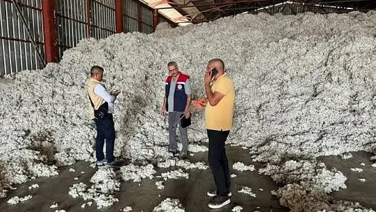 Pamuklarda yeni sezon çalışmalarına başladı