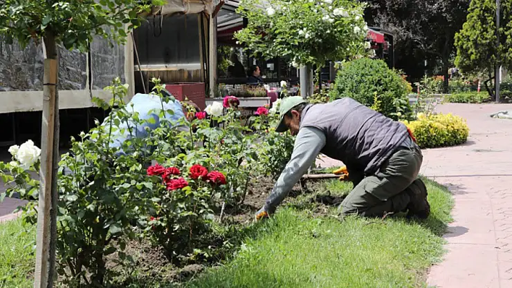 Parklara estetik dokunuş
