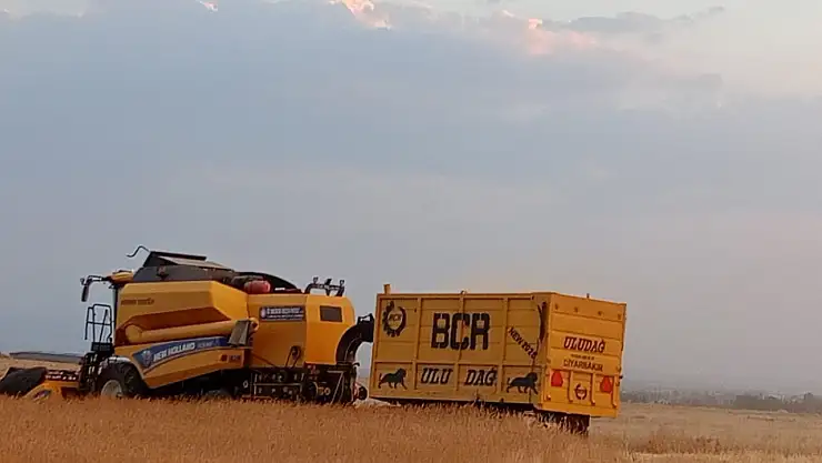 Patnosta buğday hasadı hız kazandı