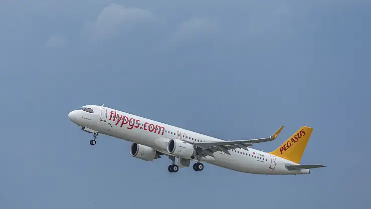 Pegasus 'Yılın İşvereni' seçildi