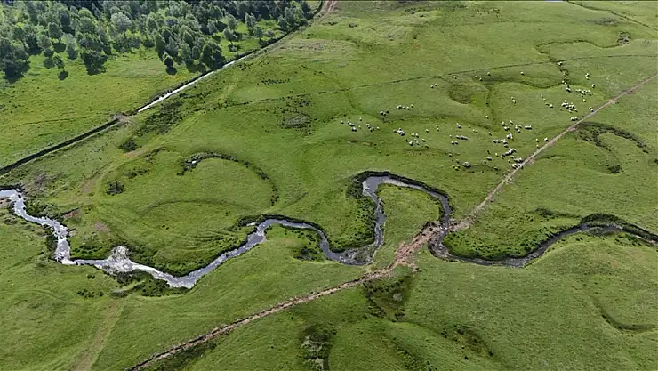 Perşembe Yaylası yerli turistlerin akınına uğradı