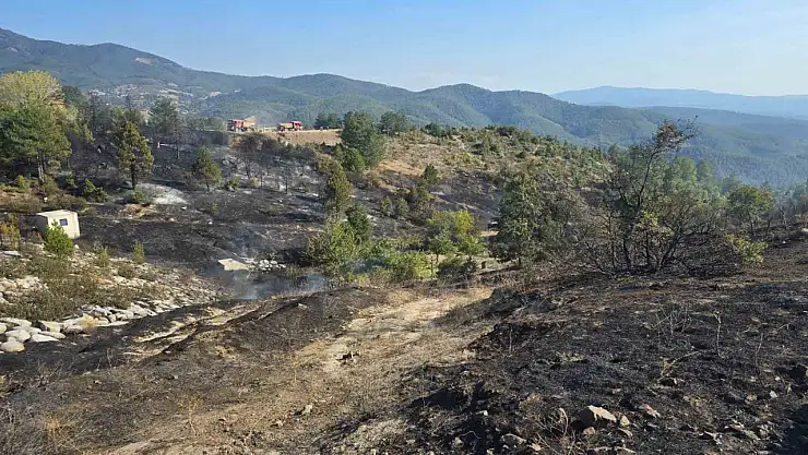 Piknik ateşi orman yangınına yol açıyordu