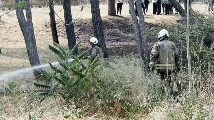 Ruh ve Sinir Hastalıkları Hastanesi bahçesinde yangın çıktı