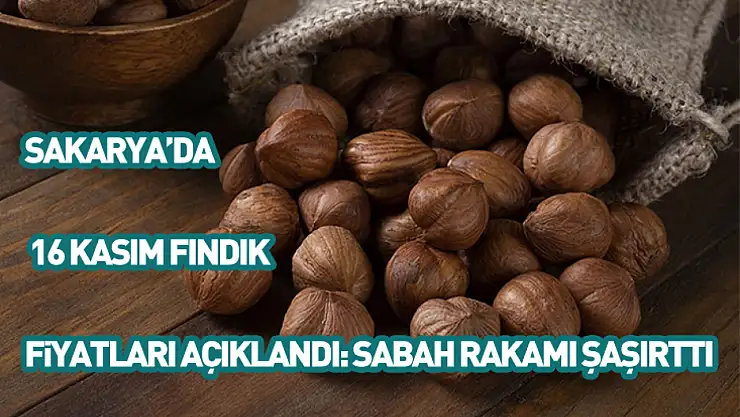 Sakarya'da 16 Kasım fındık fiyatları açıklandı: Sabah rakamı şaşırttı