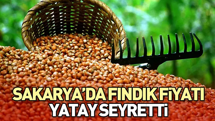 Sakarya'da fındık fiyatı yatay seyretti
