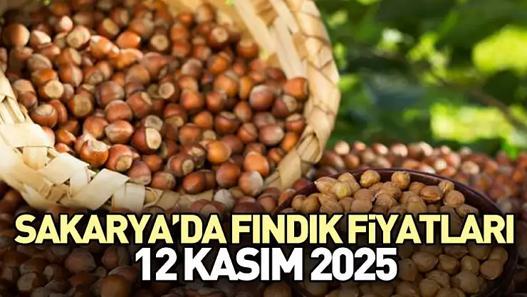 Sakarya'da Fındık Fiyatları 12 Kasım 2025