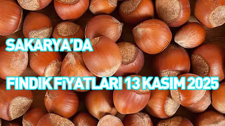 Sakarya'da Fındık Fiyatları 13 Kasım 2025