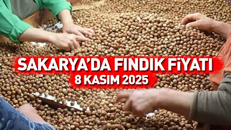 Sakarya'da Fındık Fiyatları Dengeli Seyrediyor: 8 Kasım 2025 Güncel Piyasa Rakamları