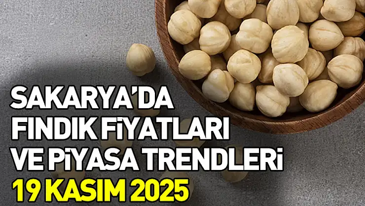 Sakarya'da Fındık Fiyatları ve Piyasa Trendleri | 19 Kasım 2025