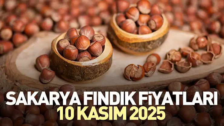 Sakarya Fındık Fiyatları 10 Kasım 2025: