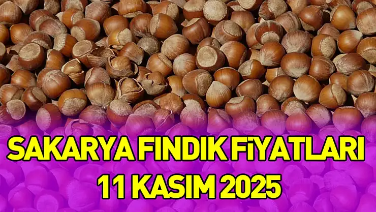 Sakarya Fındık Fiyatları 11 Kasım 2025