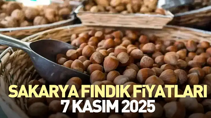 Sakarya Fındık Fiyatları 7 Kasım 2025